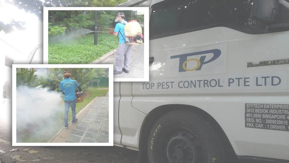 Top pest control ltd