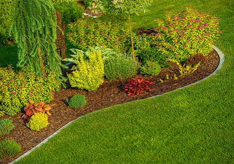 Greenscape gardening