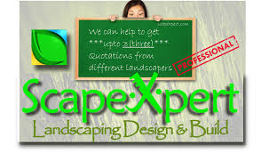 Scapexpert